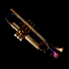 DH Brass Classico Bb Trumpet